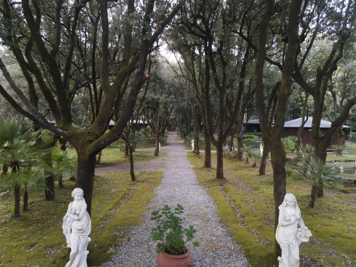 Residence Il Fortino Marina di Massa Kültér fotó